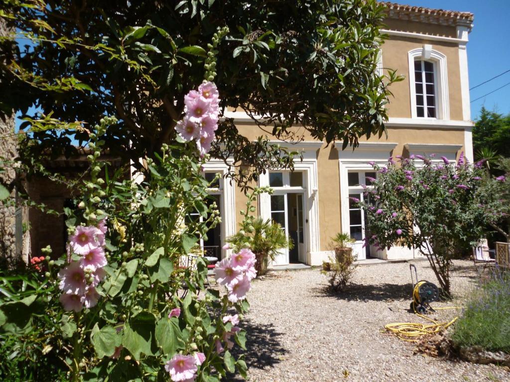 La Maison Des Palmiers Homps  Exterior photo